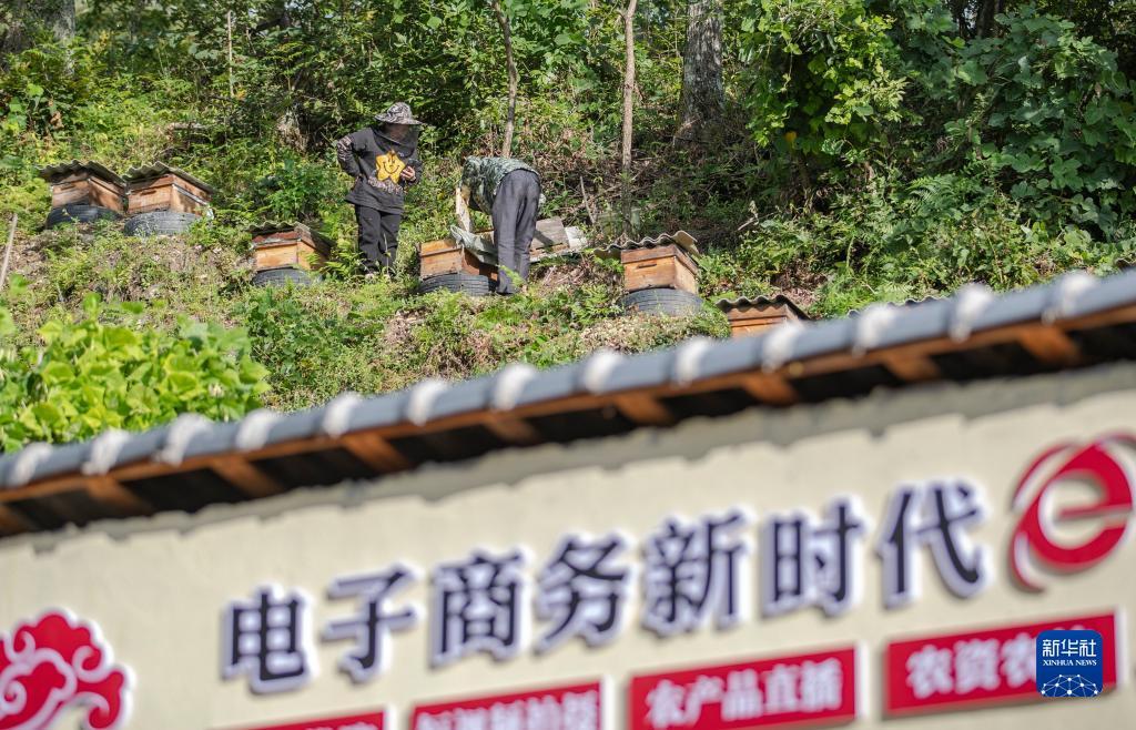 99博策略论坛