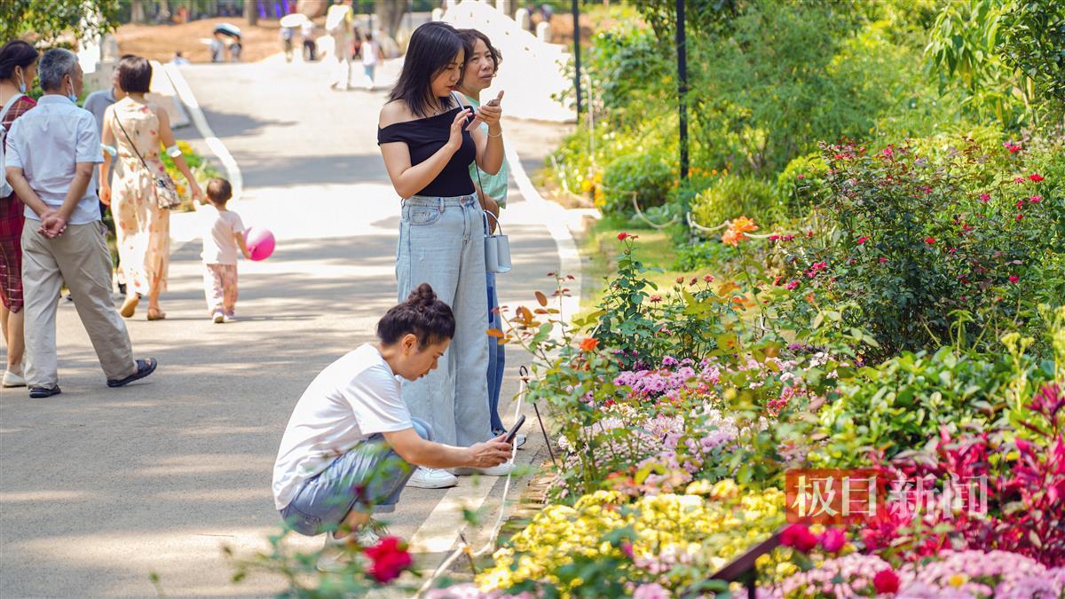 永利正网官网