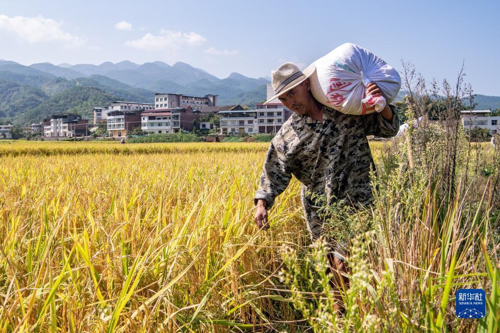 淘金大满贯下载